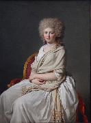 Jacques-Louis David Portrait of Anne-Marie-Louise Thelusson, Countess of Sorcy oil painting reproduction